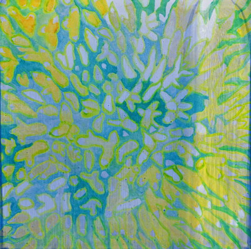 Detail of Acrapora, 2000 by Charlotte Johnstone