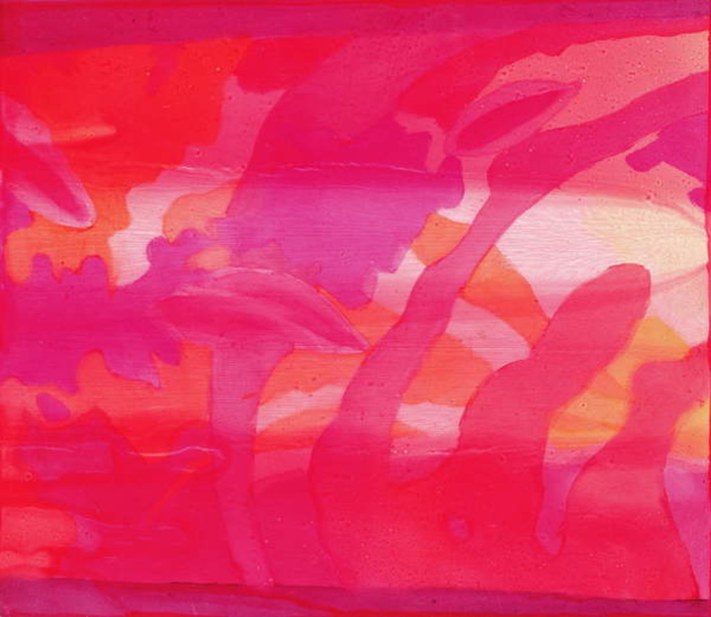 Detail of Mascarene, 2000 by Charlotte Johnstone