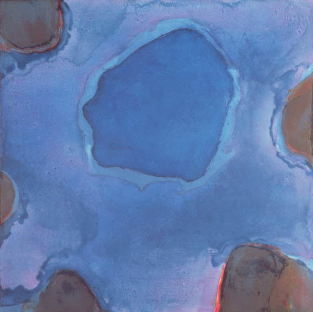 Detail of Friesian Blue, 1997 by Charlotte Johnstone
