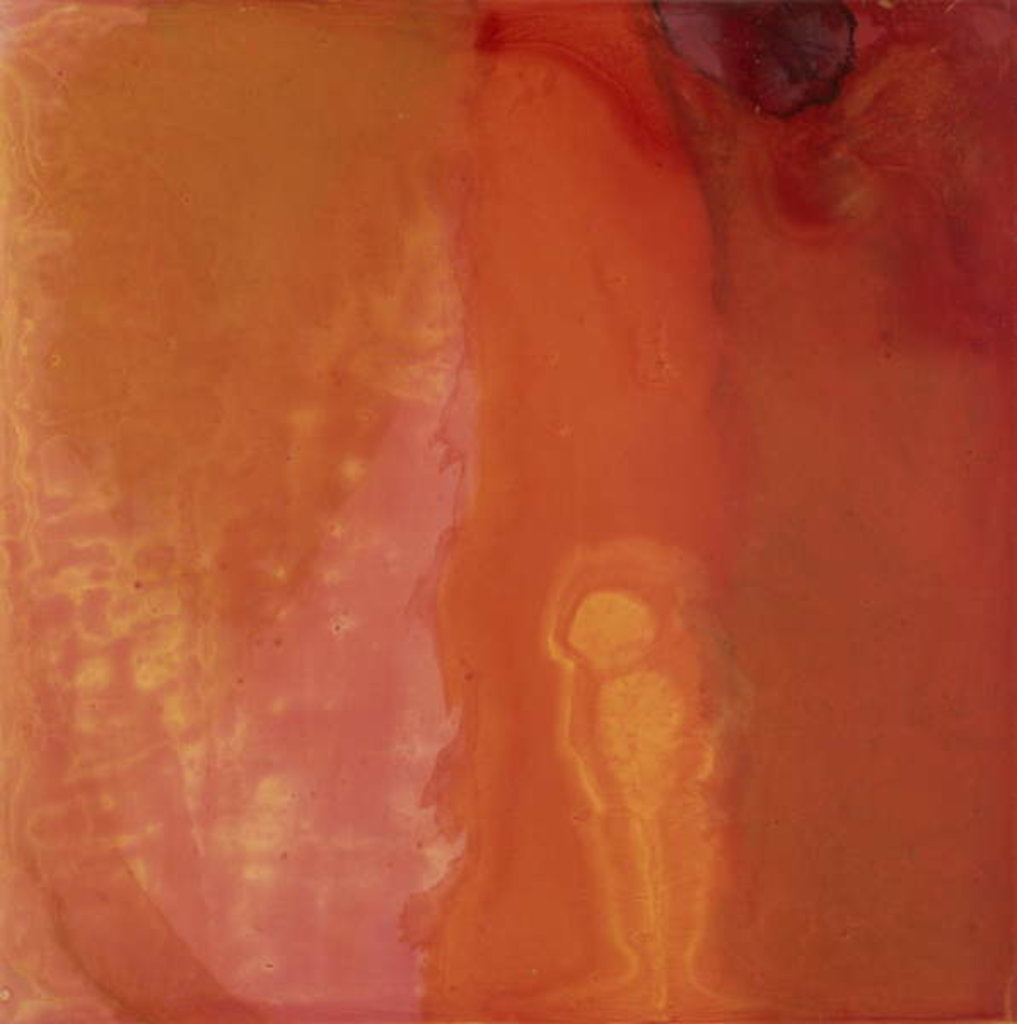 Detail of Cheese Fish, 1997 by Charlotte Johnstone