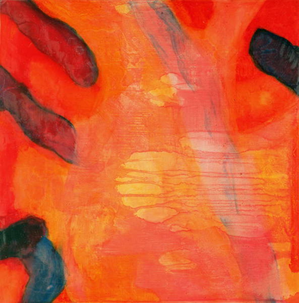 Detail of Clown Fish II, 1997 by Charlotte Johnstone