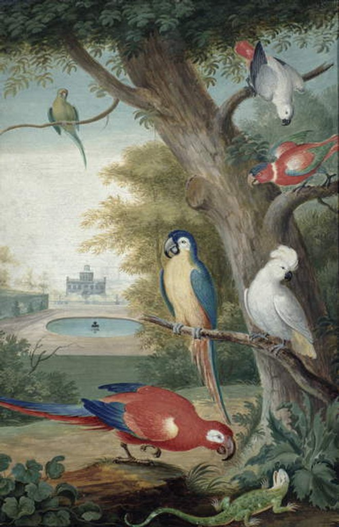 Detail of Parrots and a Lizard in a Picturesque Park, early 18th century by Jakob Bogdany