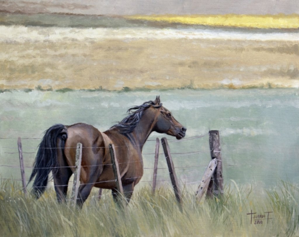 Detail of Dreams of Freedom, 2010 by Cruz Jurado Traverso