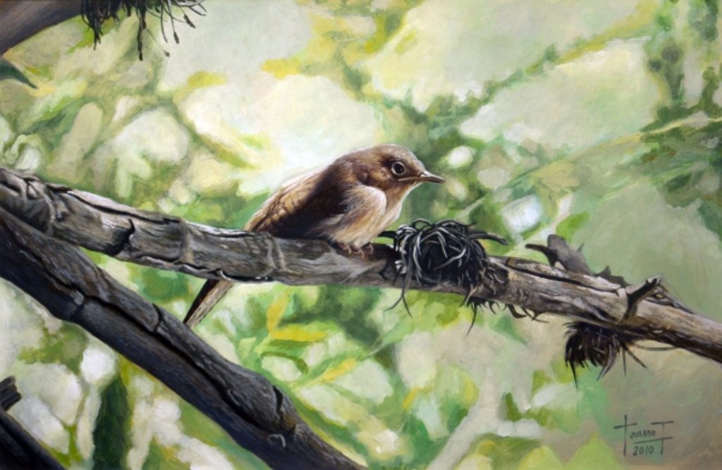 Detail of House Wren, the Harmonious Singing, 2010 by Cruz Jurado Traverso