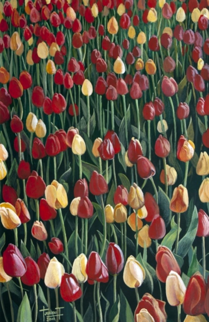 Detail of Tulips, 2010 by Cruz Jurado Traverso