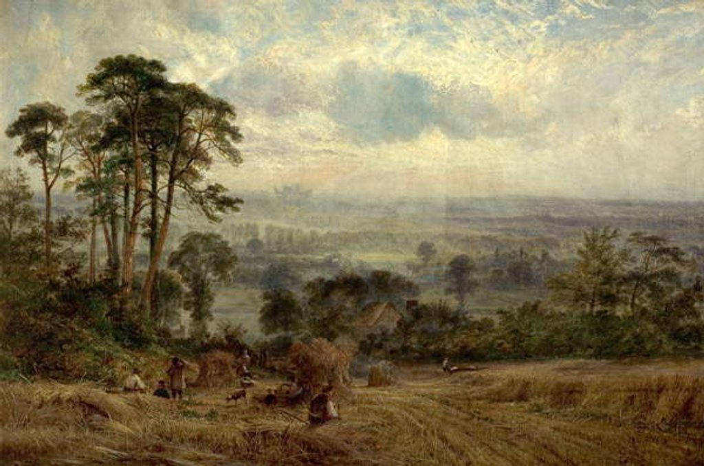 Detail of Cornfields, Wollaton Hall, Nottingham, 19th century by Benjamin Shipman