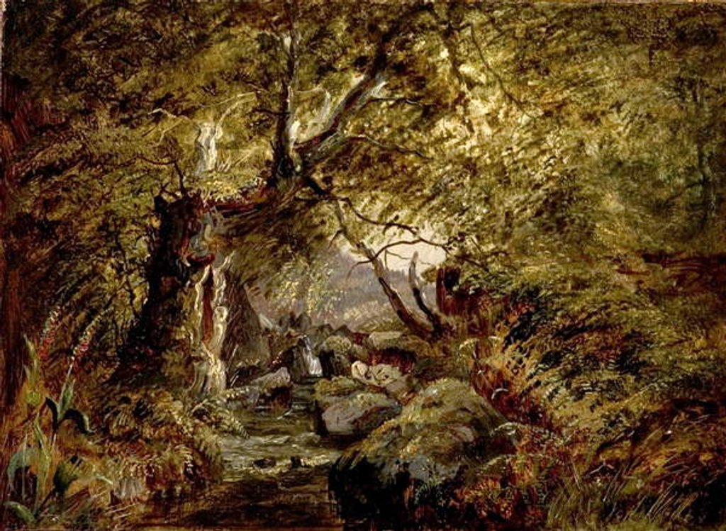 Detail of A Woodland Stream by English School