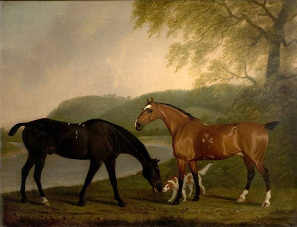 Detail of Horses and Dog in a Landscape, c.1830 by Clifton Tomson