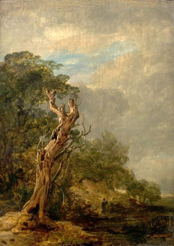 Detail of The Withered Tree by William Collins