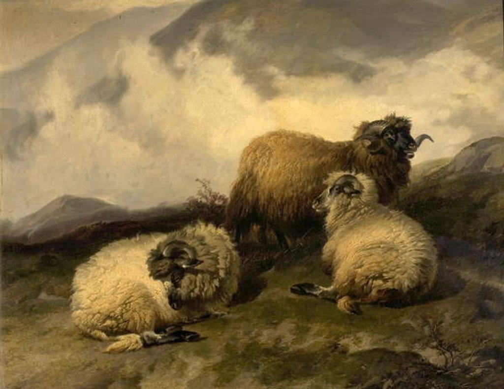 Detail of Mountain Sheep 1846 by Thomas Sidney Cooper