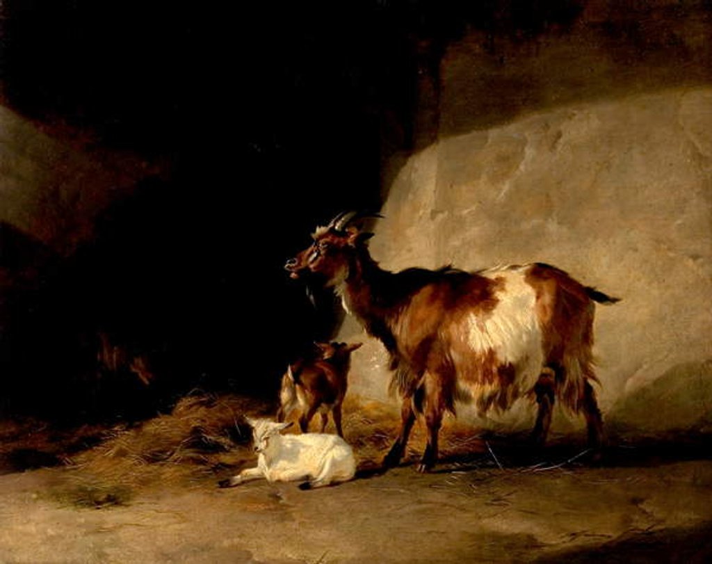 Detail of Mountain Sheep, 1846 by Thomas Sidney Cooper