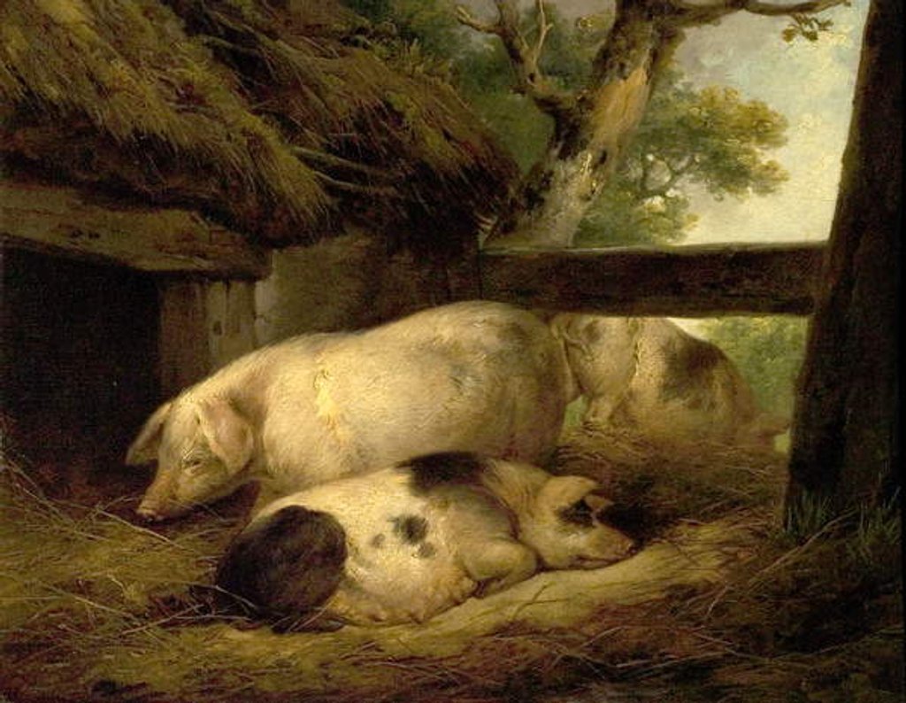 Detail of Study of Pigs by George Morland