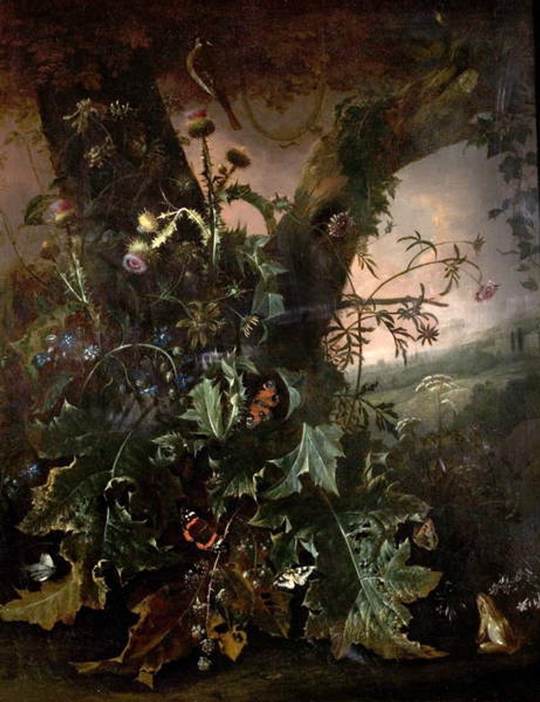 Detail of Still Life with Frog and Goldfinch by Matthias Withoos