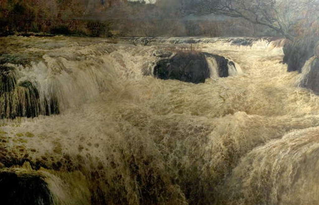 Detail of Salmon Leap, Cenarth Falls, Cardiganshire, Wales, 1878 by George Frank Miles