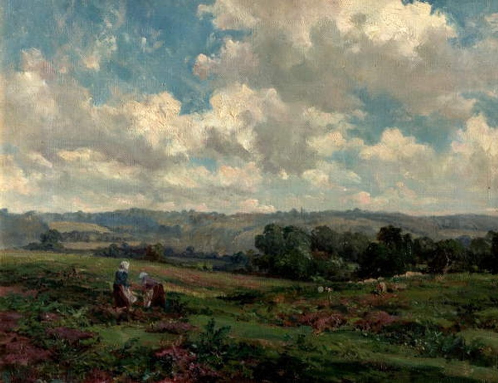Detail of Fields in Surrey, 1890 by Herbert Hughes-Stanton