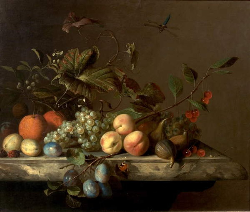 Detail of Fruit Piece with Dragonfly, 1692 by Barend or Bernardus van der Meer