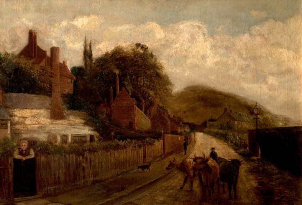 Detail of Sneinton Hermitage, Nottingham, 1887 by G.S. Stevenson