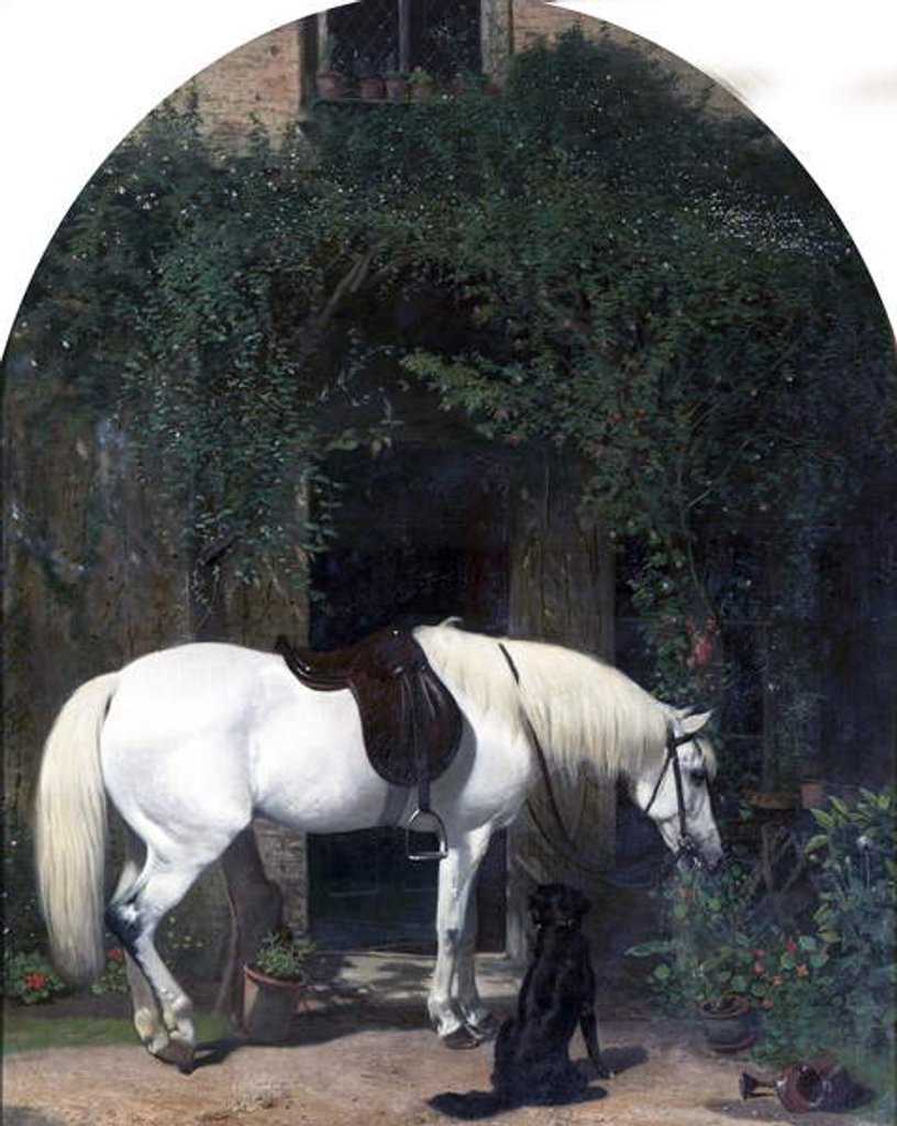 Detail of White Horse and Retriever by Alfred Hichens Corbould