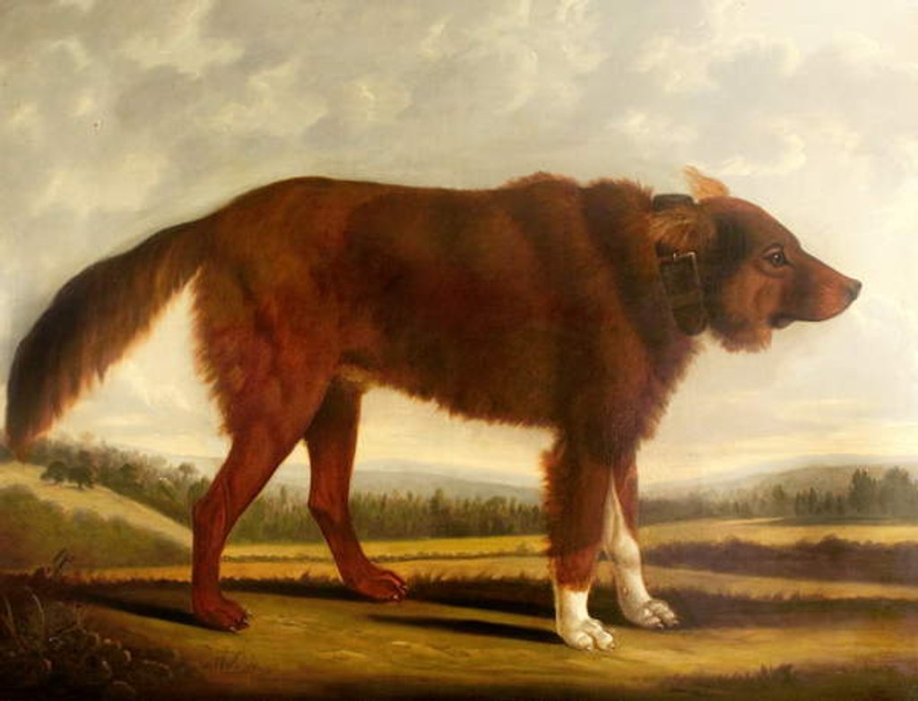 Detail of Lord Byron's Dog 'Lyon', 1808 by Clifton Tomson