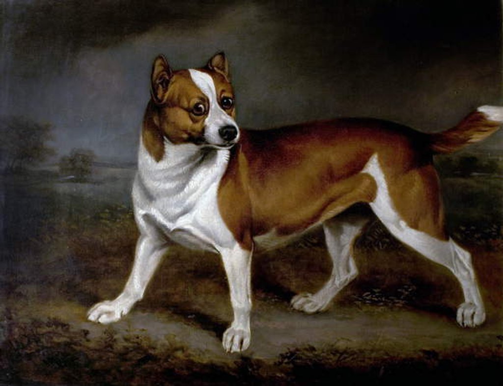 Detail of Nettle, 1812 by Henry Bernard Chalon