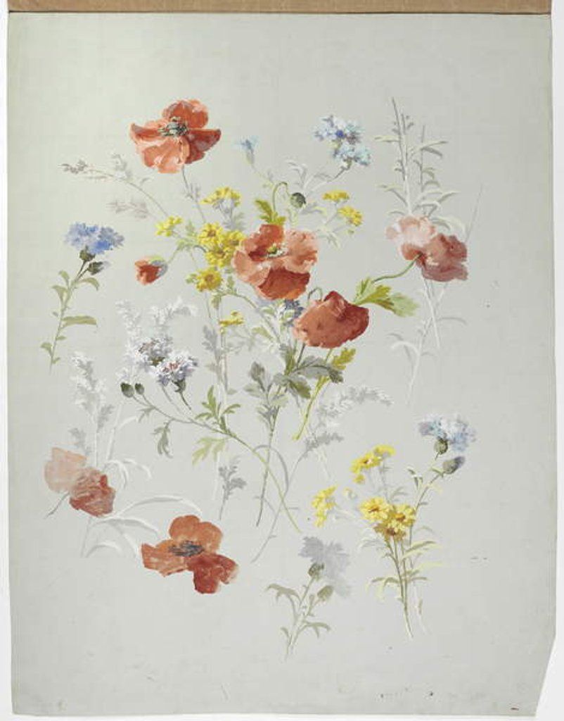 Detail of Carpet design by English School