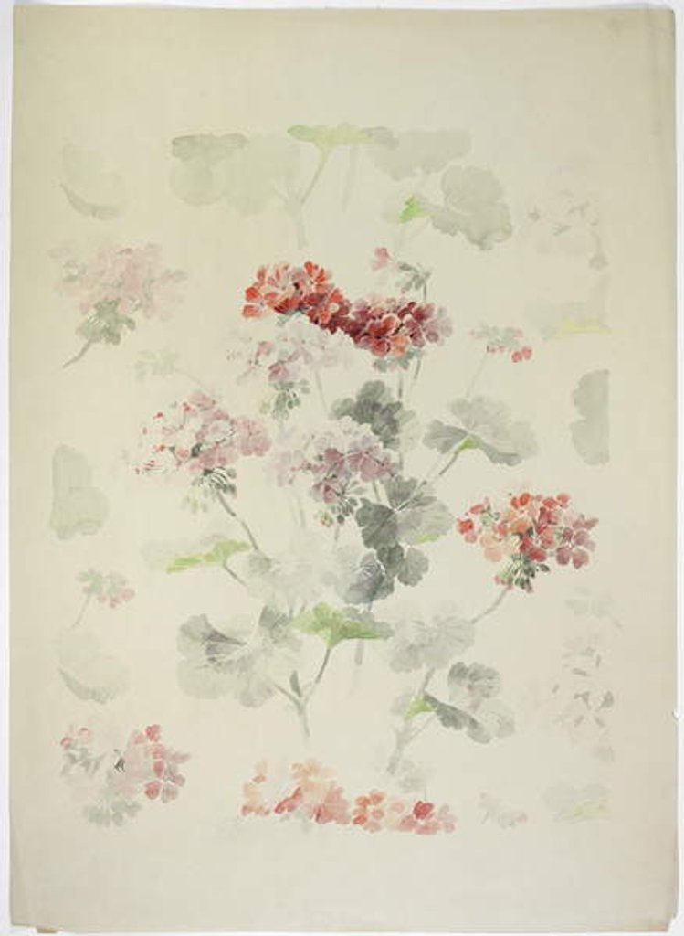 Detail of Carpet design by English School