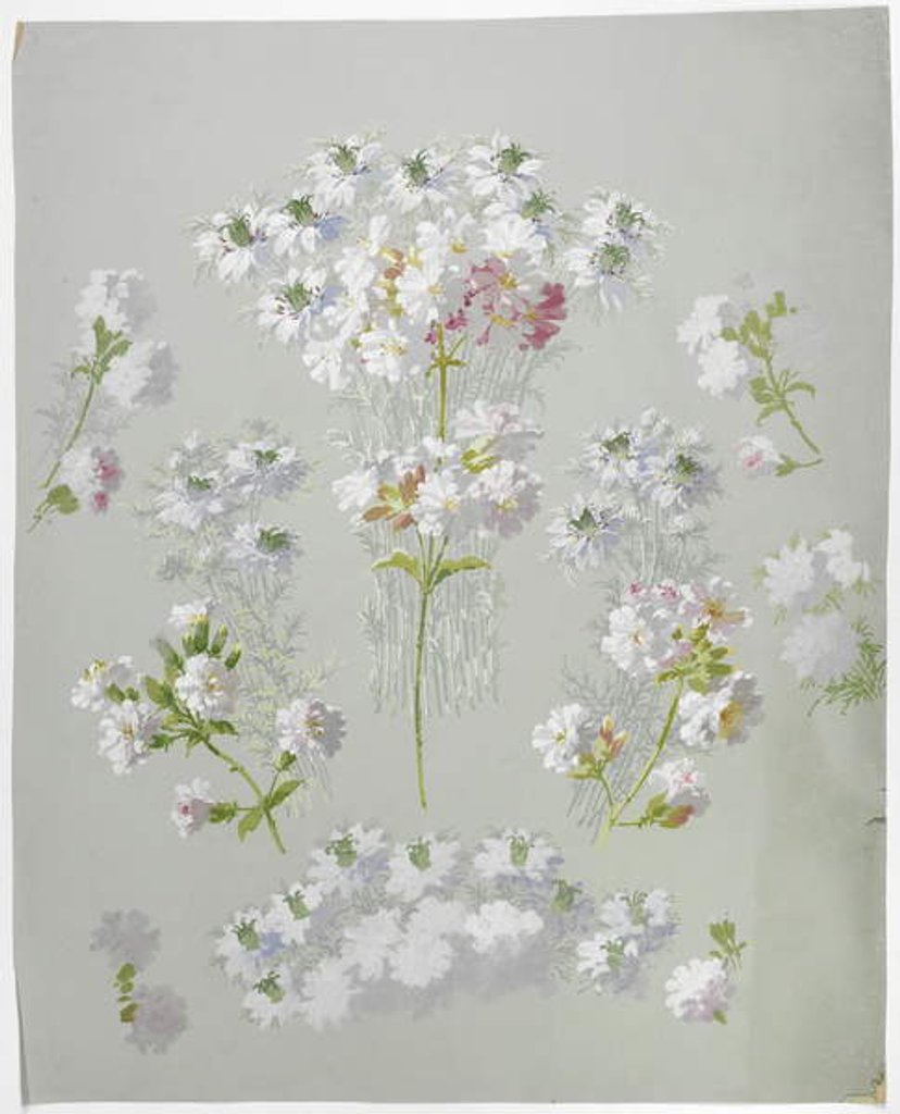 Detail of Carpet design by English School