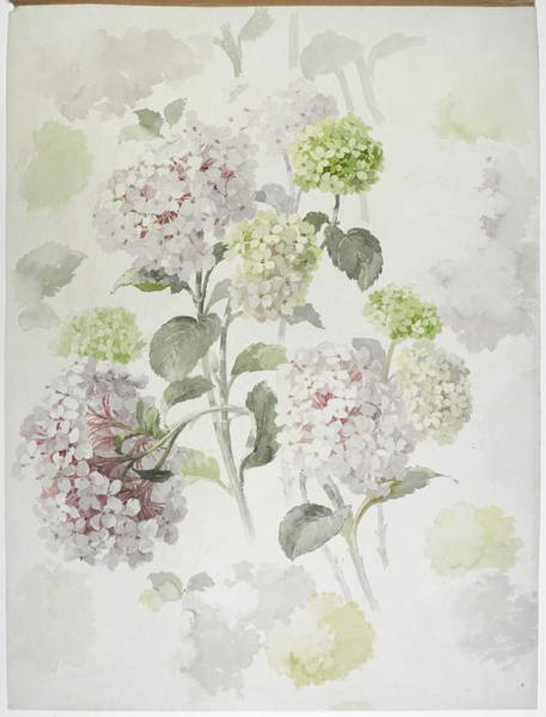 Detail of Carpet design by English School