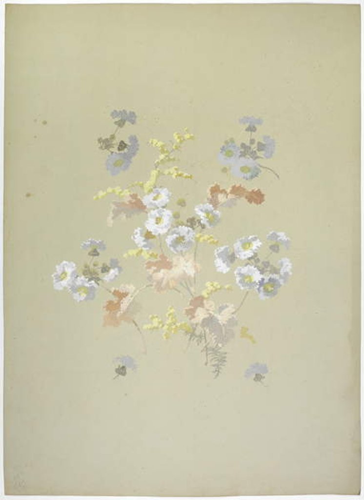 Detail of Carpet design by English School