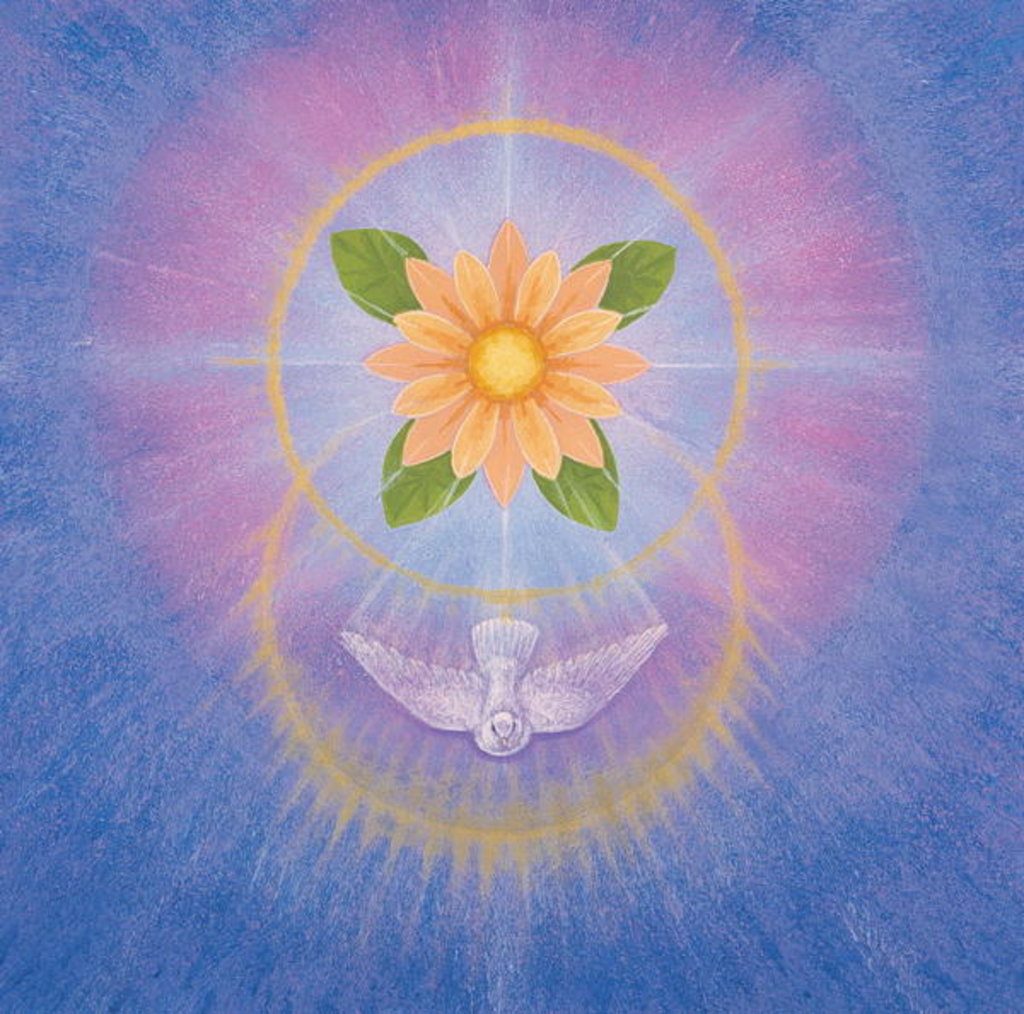 Detail of Flower by Simon Cook