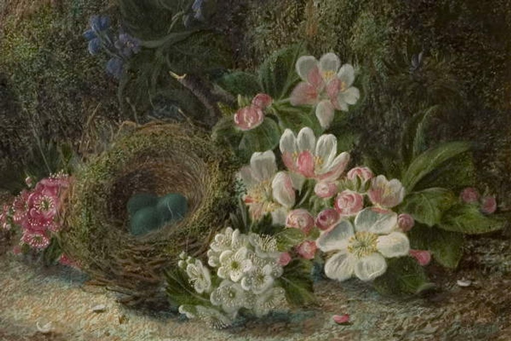 Detail of Bird's Nest with Apple and Hawthorn Blossom, 1893 by Oliver Clare