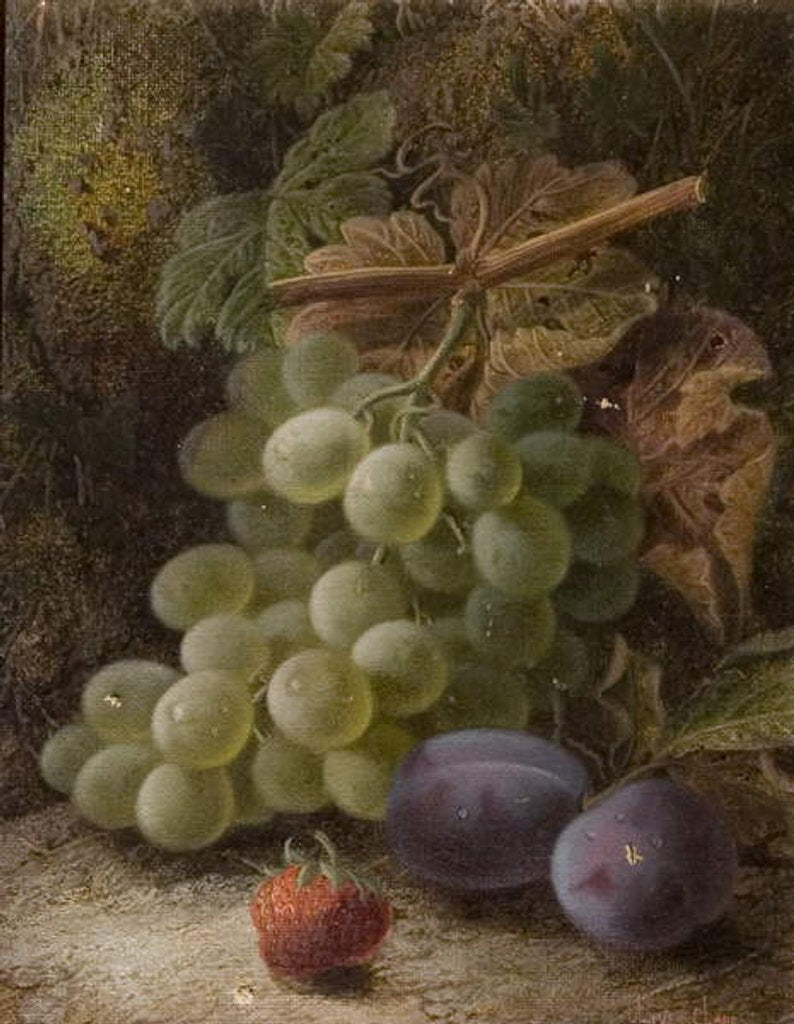 Detail of Bunch of Grapes, 1893 by Oliver Clare