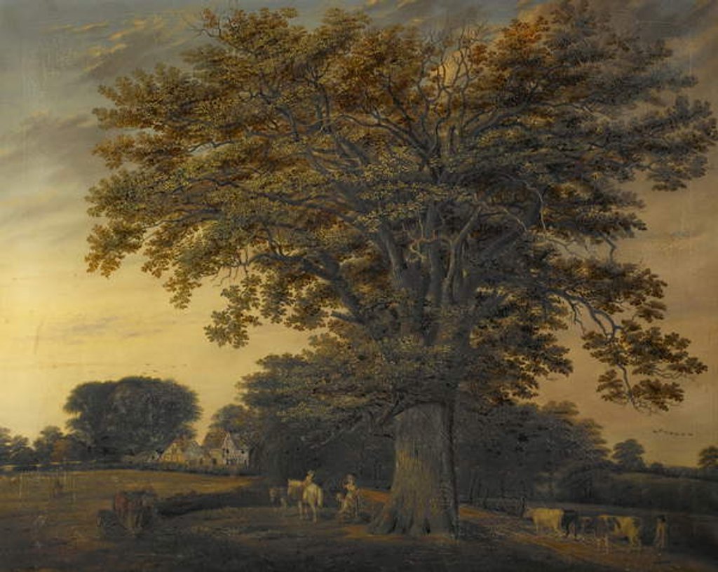 Detail of The Binley Oak, 1848 by Edwin Brown