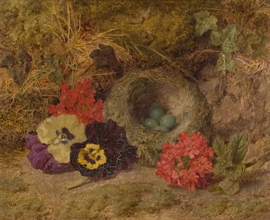 Detail of A Bird's Nest, Pansies and Verbena, late 19th century by Thomas Worsey