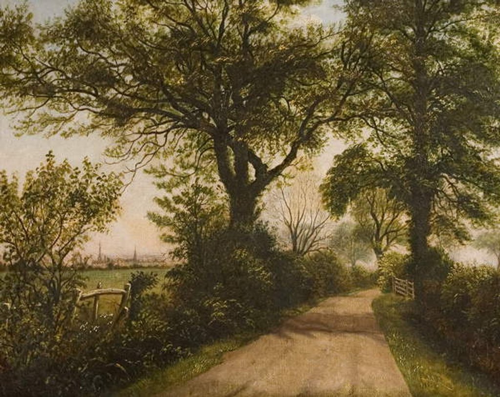 Detail of Distant View of Coventry, late 19th century by William Howard Reeve