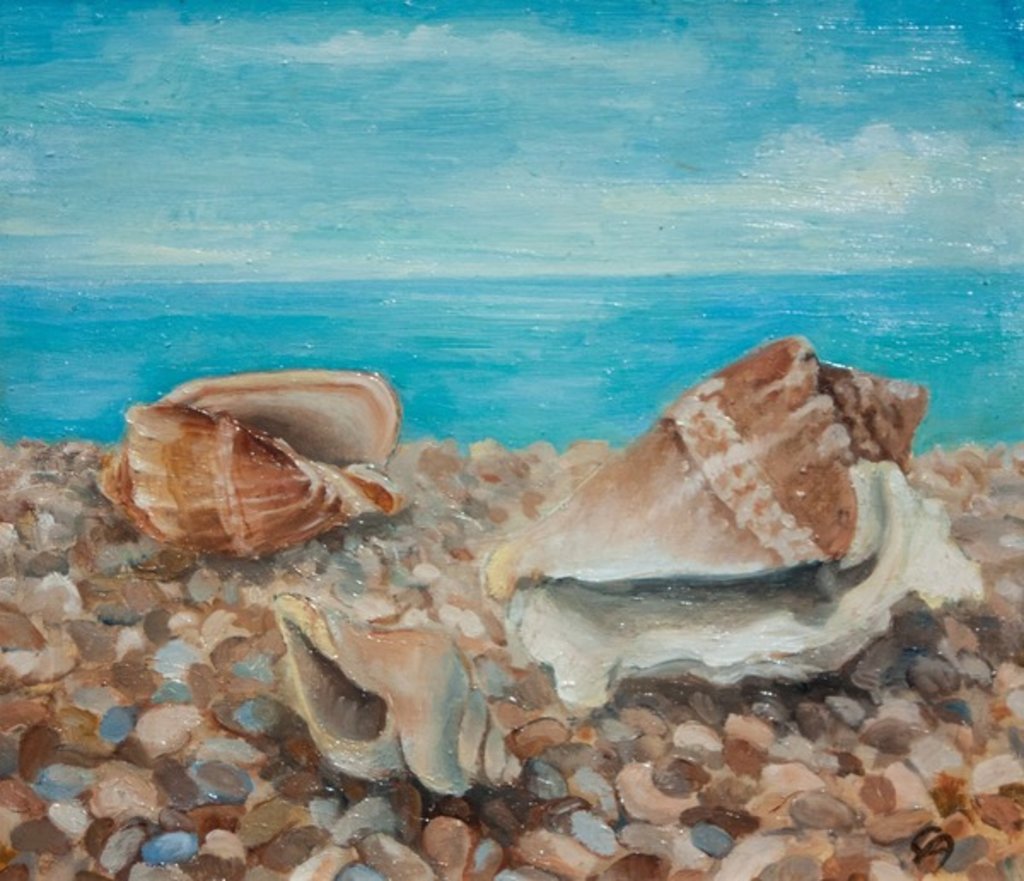 Detail of Three Shells by Cristiana Angelini