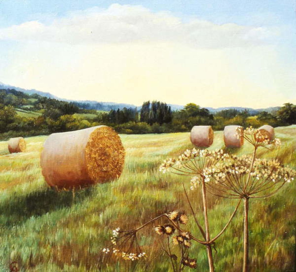 Detail of Eynsford Valley by Cristiana Angelini
