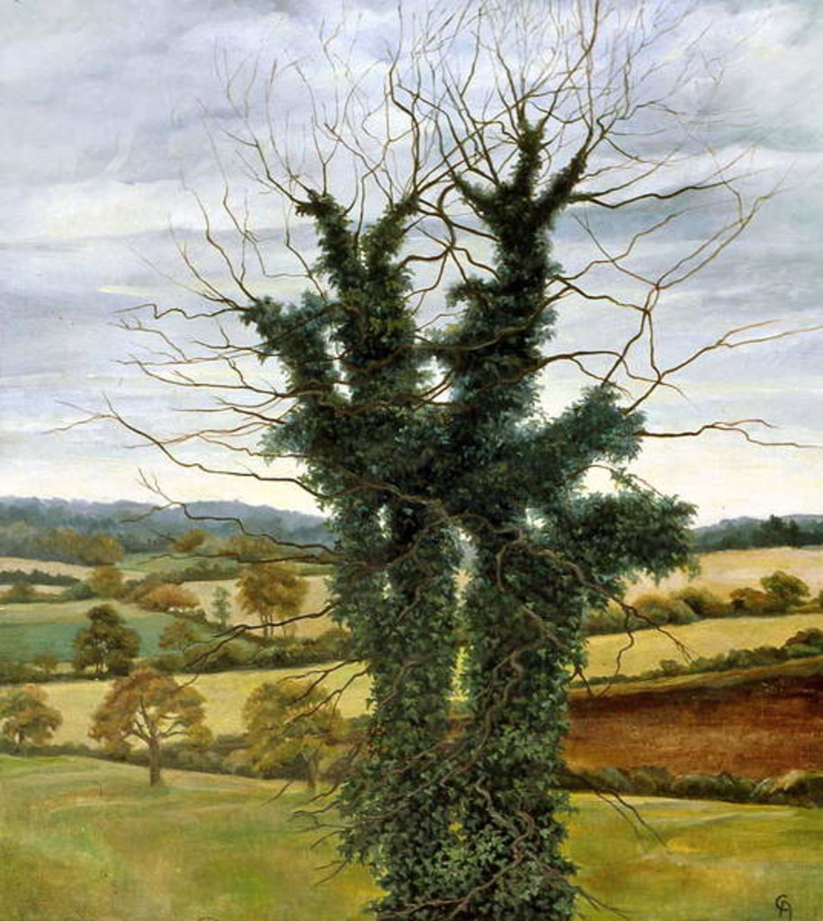 Detail of Winter Sky by Cristiana Angelini