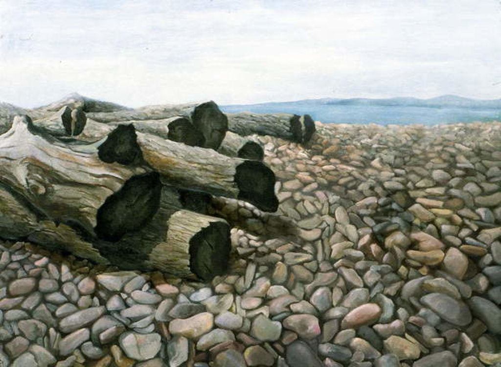 Detail of Porlock Weir by Cristiana Angelini