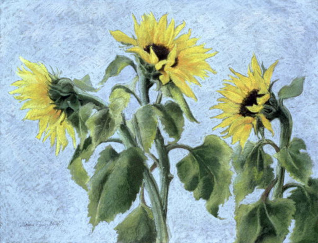 Detail of Sunflowers, 1996 by Cristiana Angelini