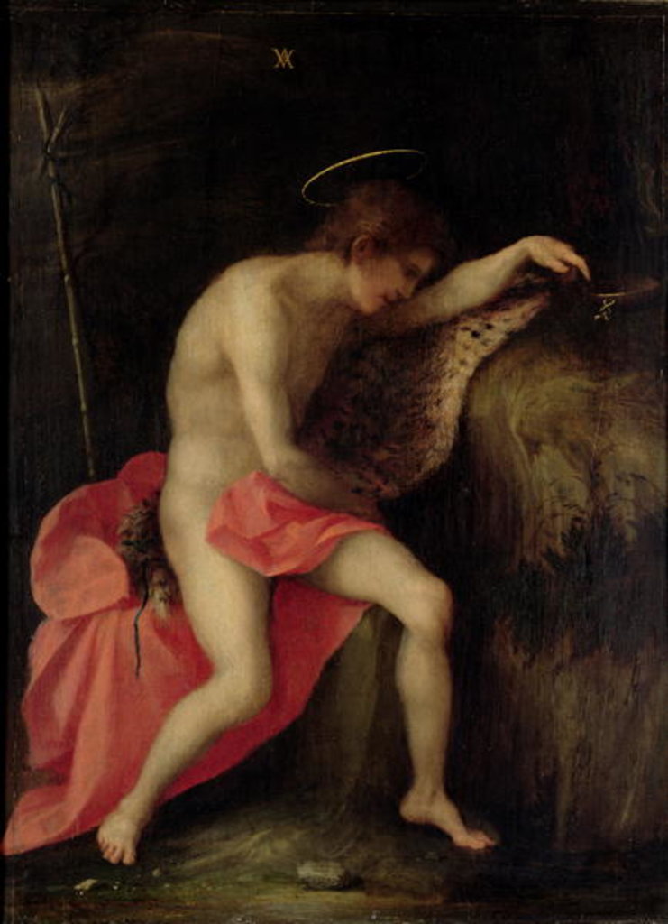 Detail of St John the Baptist in the Desert by Andrea del Sarto