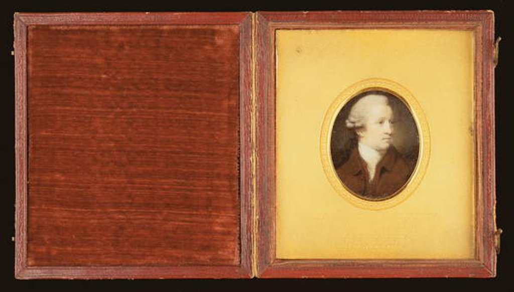 Detail of Sir Joshua Reynolds by Ozias Humphry