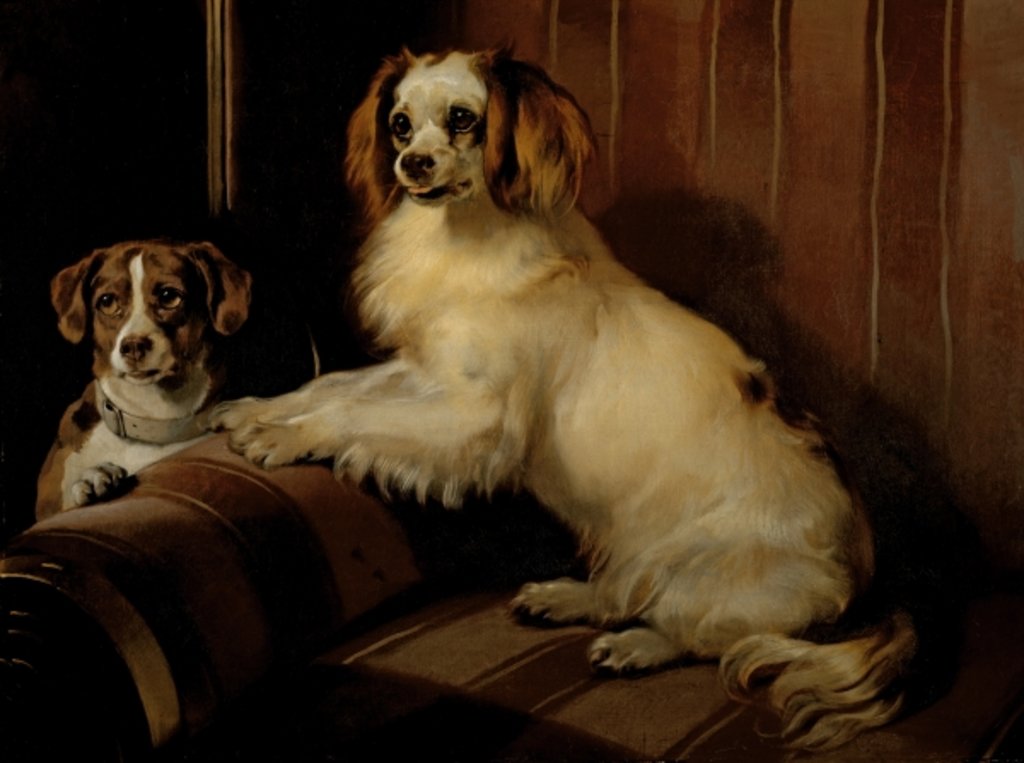 Detail of Bony and Var, c.1843 by Edwin Landseer