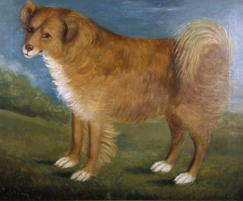 Detail of Brown Dog in a Landscape, c.1850 by Unknown Artist