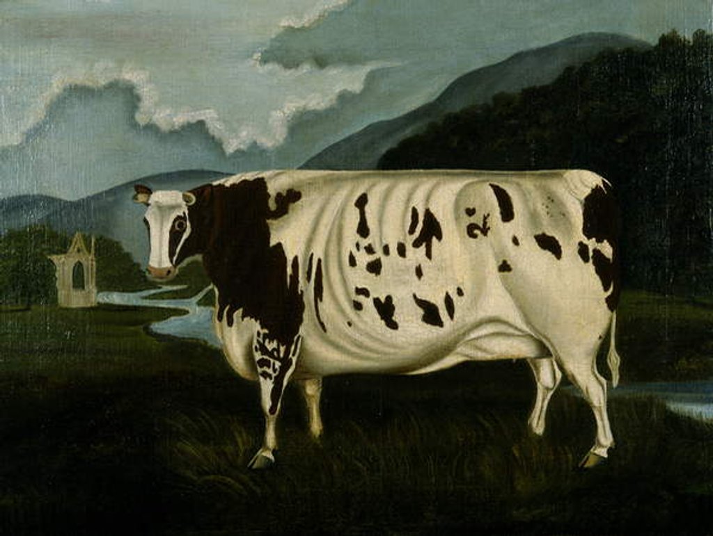 Detail of The Famous Craven Heifer by W. D. Fryer