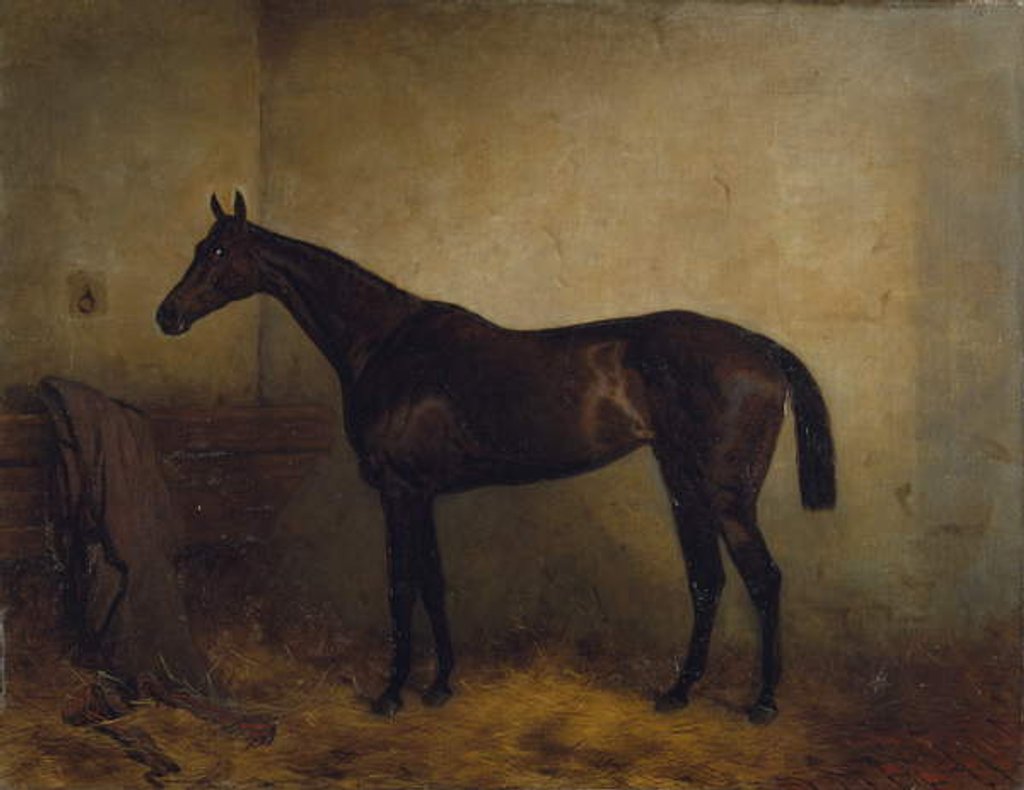 Detail of Chaplet, a bay race mare in a loosebox, c.1877 by Harry Hall