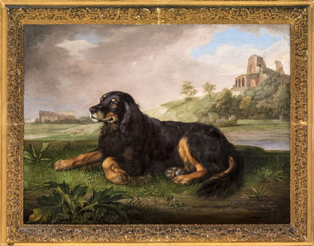 Detail of Portrait of 'Tawney', the 6th Duke's spaniel, with the Palatine beyond, 1819 by Johan Wenzel Peter