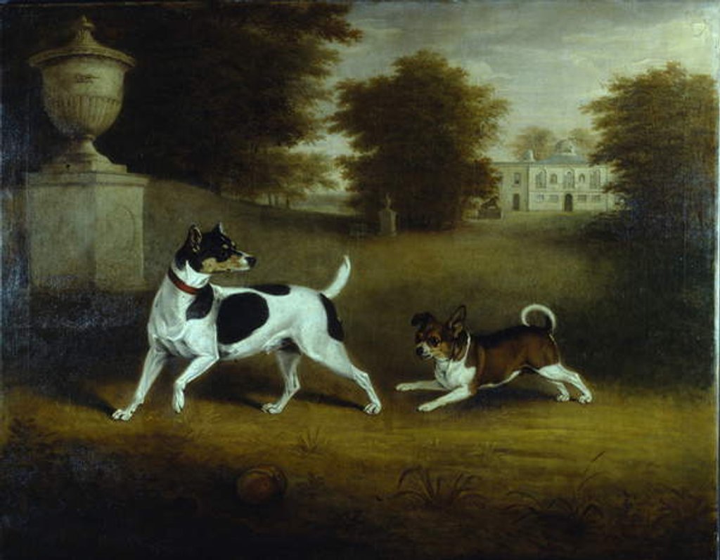 Detail of Betty Martin, a terrier, and 'Idol', a mongrel by Henry Bernard Chalon