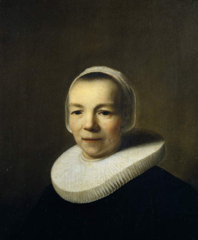 Detail of Portrait of Baertje Martens, 1644 by Lambert Doomer