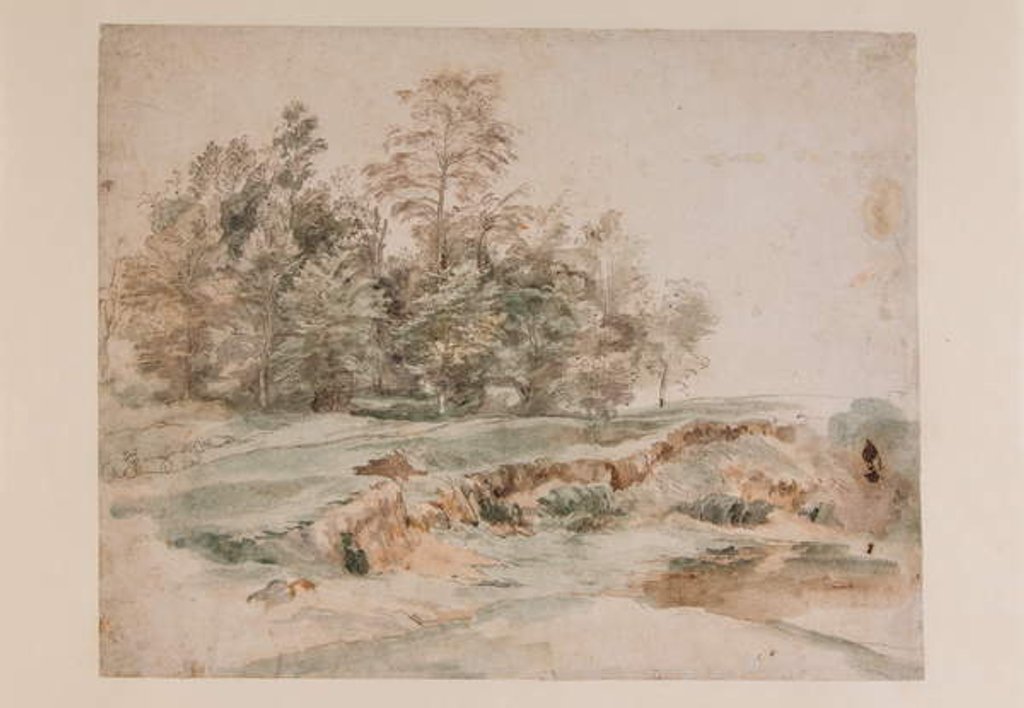 Detail of A clump of trees by a wooded road by Anthony van Dyck